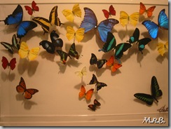 New York'ta çektiğim bir fotoğraf